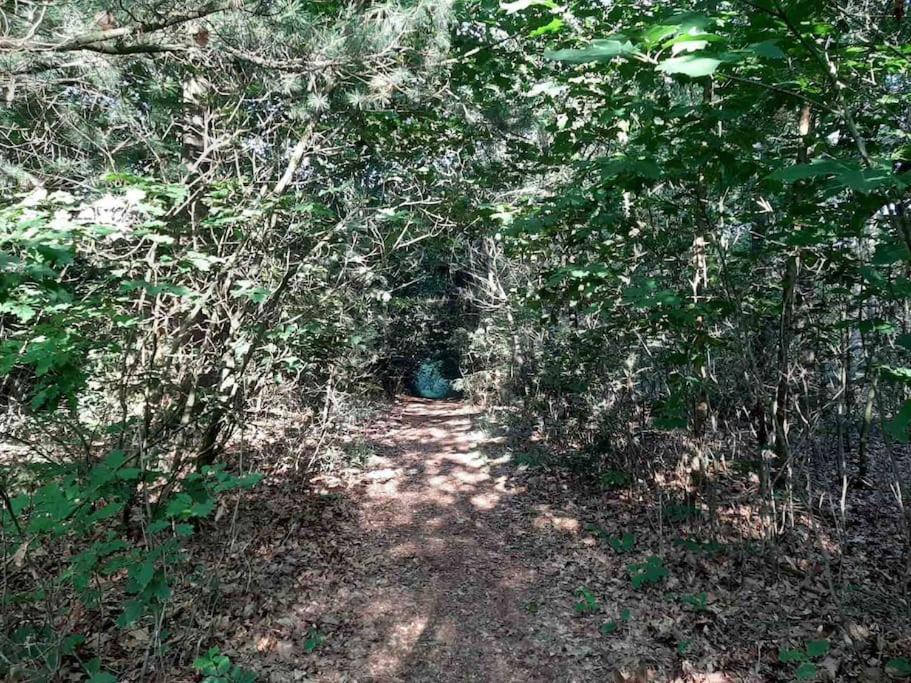 Vakantiehuis Eikzicht Gelegen Aan Het Bos Elsloo  エクステリア 写真