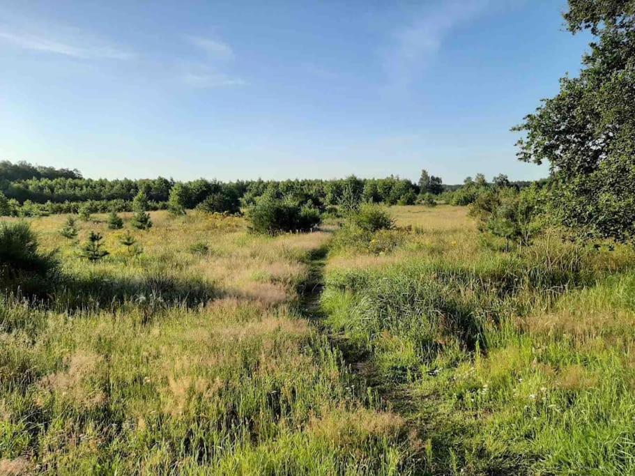 Vakantiehuis Eikzicht Gelegen Aan Het Bos Elsloo  エクステリア 写真