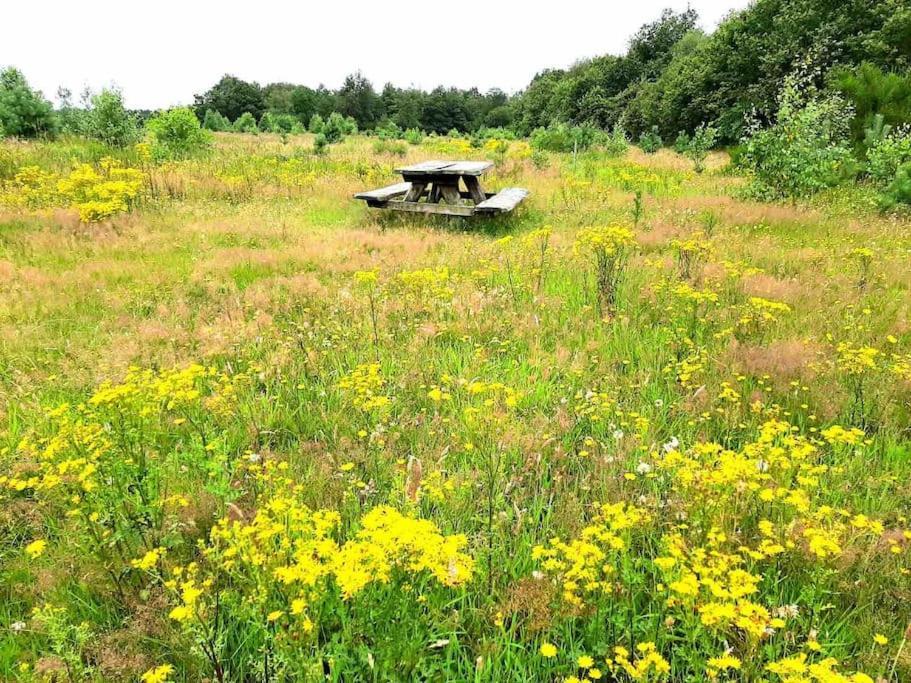 Vakantiehuis Eikzicht Gelegen Aan Het Bos Elsloo  エクステリア 写真