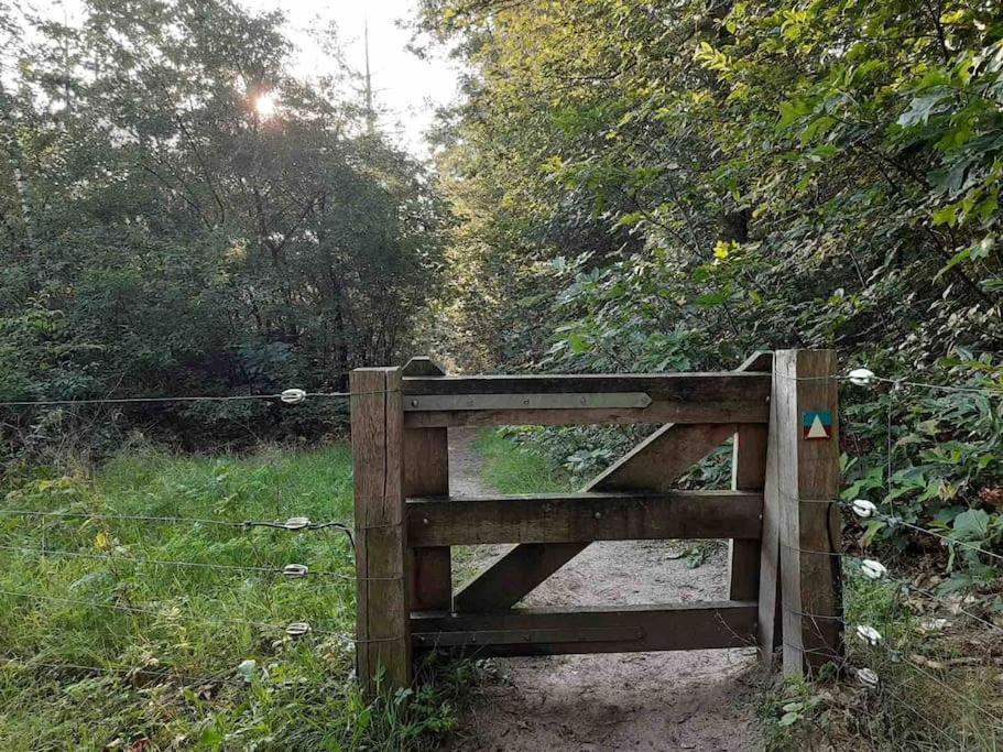 Vakantiehuis Eikzicht Gelegen Aan Het Bos Elsloo  エクステリア 写真