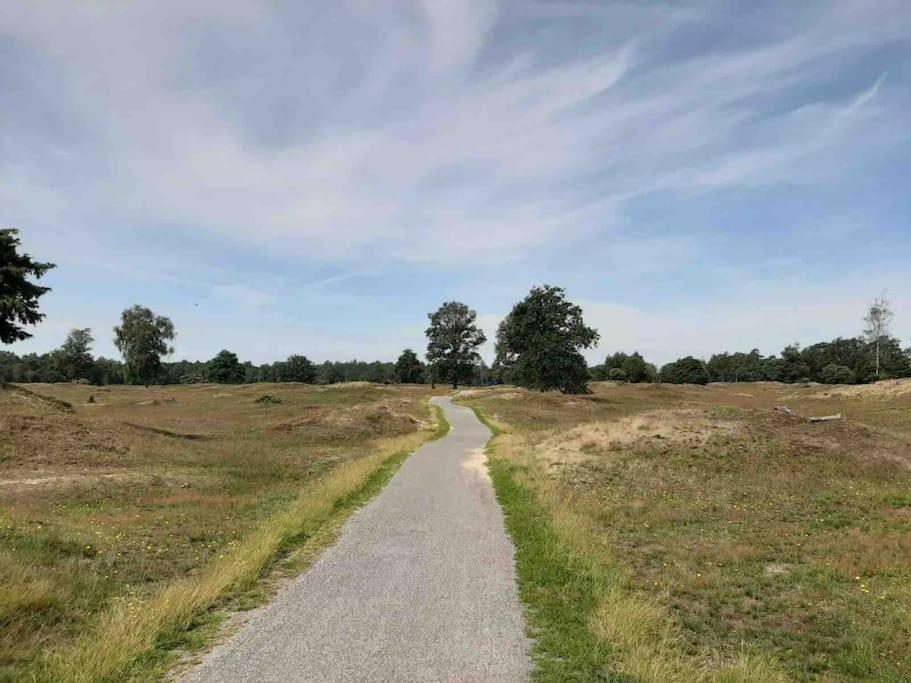Vakantiehuis Eikzicht Gelegen Aan Het Bos Elsloo  エクステリア 写真