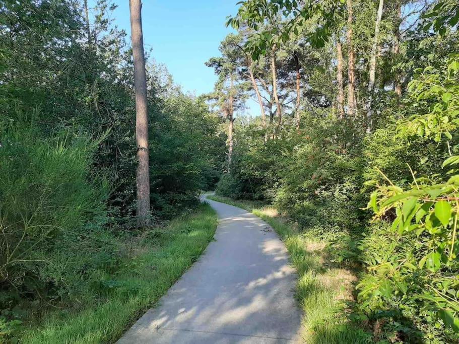 Vakantiehuis Eikzicht Gelegen Aan Het Bos Elsloo  エクステリア 写真
