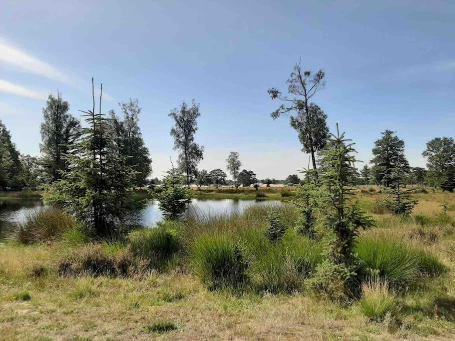 Vakantiehuis Eikzicht Gelegen Aan Het Bos Elsloo  エクステリア 写真
