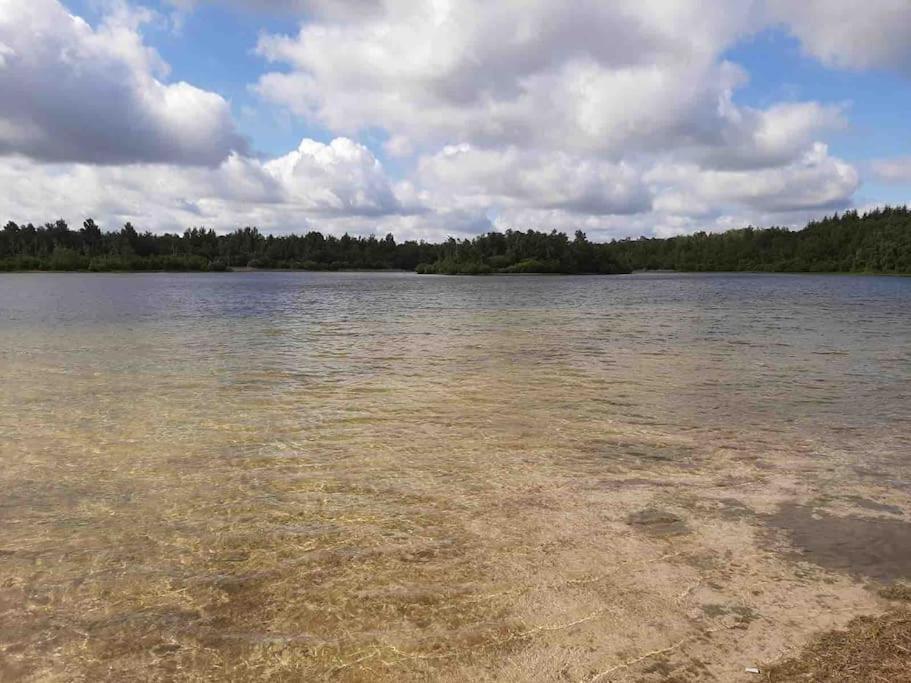 Vakantiehuis Eikzicht Gelegen Aan Het Bos Elsloo  エクステリア 写真