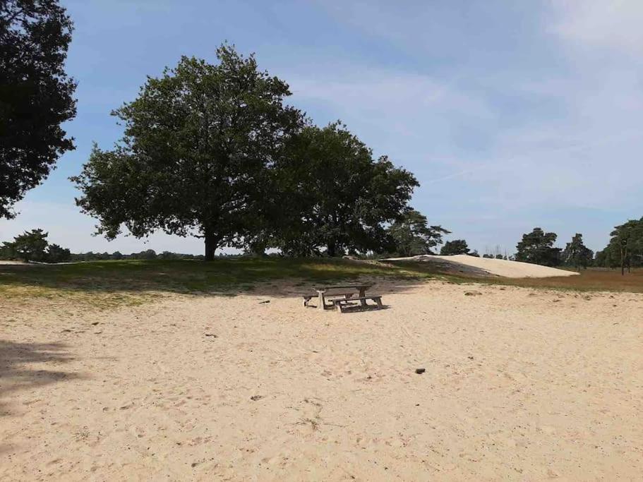 Vakantiehuis Eikzicht Gelegen Aan Het Bos Elsloo  エクステリア 写真
