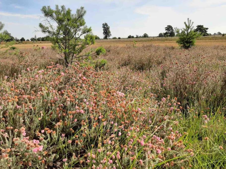 Vakantiehuis Eikzicht Gelegen Aan Het Bos Elsloo  エクステリア 写真