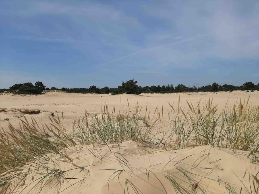 Vakantiehuis Eikzicht Gelegen Aan Het Bos Elsloo  エクステリア 写真